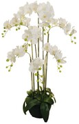 Pianta artificiale senza vaso Orchidea in Real Touch in pvc colore verde H 125