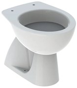 Vaso WC distanziato GEBERIT colibri scarico a pavimento, sedile escluso P 53 x L 36 x H 39 cm bianco lucido
