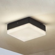 Lucande Plafoniera LED Thilo, 16 cm, antracite, sensore, IP54