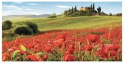 Stampa su tela Campagna Toscana, multicolore 140 x 70 cm