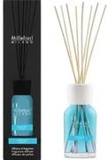 Diffusore per ambienti 250 ml Acqua Blu Millefiori