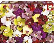 Puzzle Educa Orchidea 1000 Pezzi