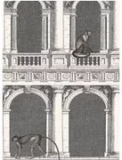 Cole & Son Carta da parati Procuratie e Scimmie - Black and White