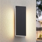 Applique da esterni a LED Aegisa Lucande, Nero, Acciaio Inox, Moderno, Applique LED da esterni