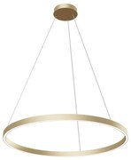 Lampadario A Sospensione Moderno Rim Alluminio Ottone 1 Led 51W