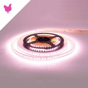 Striscia LED Professional per Banco Carni