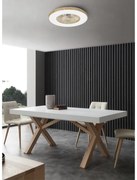 Ventilatore da soffitto Woody trasparente, D. 60 cm