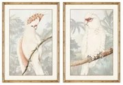 Quadro DKD Home Decor Pappagallo Tropicale 50 x 3 x 70 cm (2 Unità)