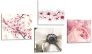 Set di quadri – Delicatezza dei fiori