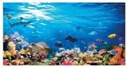 Stampa su tela Reef, multicolore 145 x 75 cm