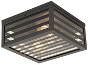 Plafoniera da esterno moderna in vetro nero 2 luci IP44 - Reims