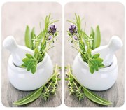 Set di 2 copri stufe in vetro Herbal, 52 x 30 cm Herb Garden - Wenko