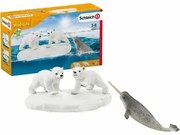 Set Animali Selvaggi Schleich Polar Bear Slide + 3 anni