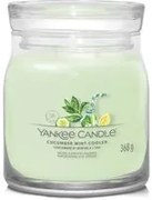 Cucumber Mint Cooler, candela in giara media Yankee Candle