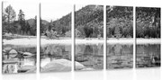 Quadri 5 pezzi – Lago in una natura splendida in bianco e nero