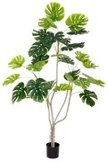 Pianta Decorativa Poliuretano Cemento Monstera 180 cm