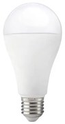 Lampadina LED GS E27/17W/230V 3000K