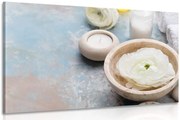 Quadro su tela – Natura morta Spa