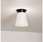 Kichler KL-ALBERS-F-T-BK - Plafoniera ALBERS 1x E27/40W/230V Ø 21,6 cm, nero