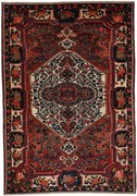 Bakhtiar Tappeto persiano 250x170 (Iran) Annodato A Mano