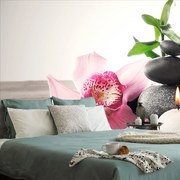 Carta da parati – Natura morta Zen