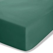 Lenzuolo con angoli verde scuro in percalle 135x190 cm Easy Iron Percale – Catherine Lansfield