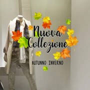 Nuova collezione foglie d&#39;autunno | Vetrofania