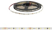 Striscia LED 4mm Professional 2216/120 - IP20 - 10W/m - 5m - 24V Colore Bianco Freddo 5.700K
