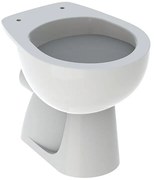 Vaso WC distanziato GEBERIT colibri scarico a parete, sedile escluso P 53 x L 36 x H 39 cm bianco lucido