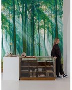 Fotomurale Bosco, verde 159 x 280 cm