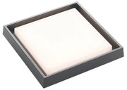 Lucande - Birta LED Quadrato Plafoniera da Esterno 27x27 Grigio Scuro Lucande