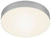 Briloner 7065-014 - Plafoniera LED FLAME LED/16W/230V argento