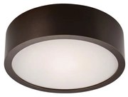 Lampada da soffitto 1xE27/60W/230V
