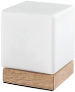 Rabalux 76003 - Lampada da tavolo LED dimmerabile PIRIT LED/1,2W/5V 3000K faggio