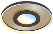 Briloner 3640017 - Lampada LED da soffitto dimmerabile 25W 230V 2700-6500K + DO