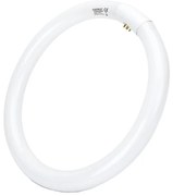 Tubo fluorescente T9 G10q/32W/230V 6500K - Aigostar