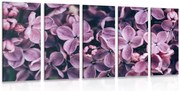 Quadri 5 pezzi – Fiori di lillà viola