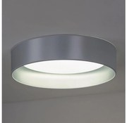 Duolla - Plafoniera LED ROLLER LED/24W/230V diametro 45 cm argento