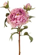 L'ocanera fiori decorativi Peonie viola h 60 set 4 pezzi