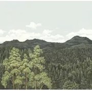 Nobilis Carta da parati panoramica Canopy 2 - MHP20