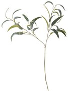 Eucalipto artificiale (altezza 101 cm) - Bloomingville