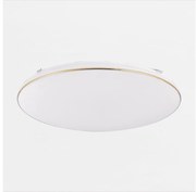 Zuma Line JE-DHR-0530-GD - Plafoniera LED dimmerabile OMAR LED/48W/230V oro