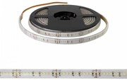 Striscia LED Professional CCT (Bianco Variabile) 2216/240 - IP67 - 18W/m - 5m - 24V Colore Bianco Variabile CCT