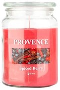 Candela profumata SPICED BERRY, 510 g, durata 85–95 ore.