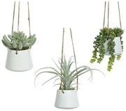 Pianta Decorativa 800073 Succulenta 20 cm Riattaccare Artificiale