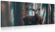 Quadro su tela – Cervo nel bosco