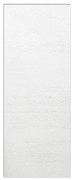 Pannello per porta d'ingresso coordinato Mast verniciato prodotto senza rivestimento bianco L 95  x H 215 cm, Sp 0.6 mm