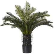 Pianta artificiale in vaso di plastica, cycas H 70 cm, Ø 17 cm