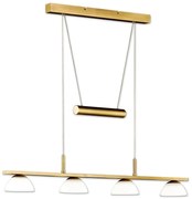 Fischer & Honsel 65054 - Lampadario LED a sospensione con filo VIGO 4xLED/4W/230V