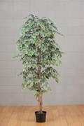 Pianta artificiale senza vaso Ficus in pvc colore multicolore H 120
